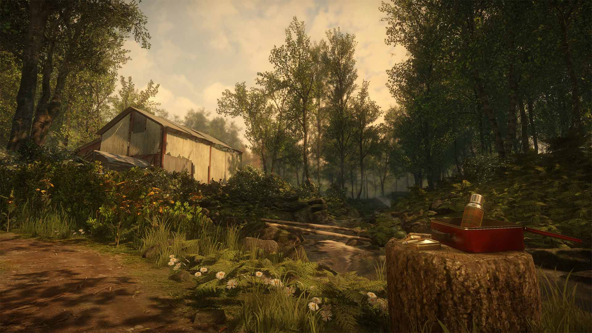 Everybodys Gone to the Rapture